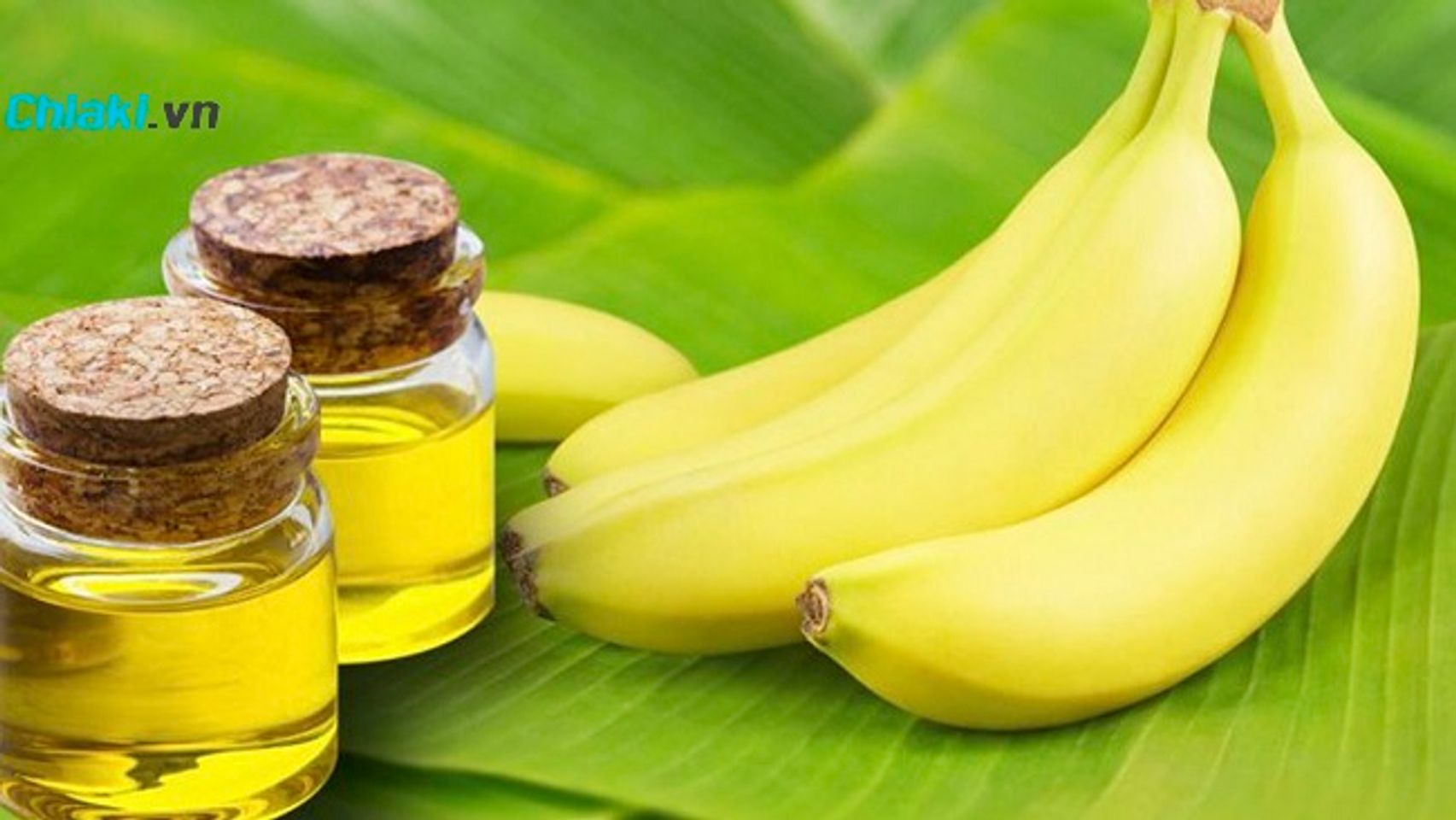 13 c&ocirc;ng thức dưỡng da mặt hiệu quả với dầu dừa
