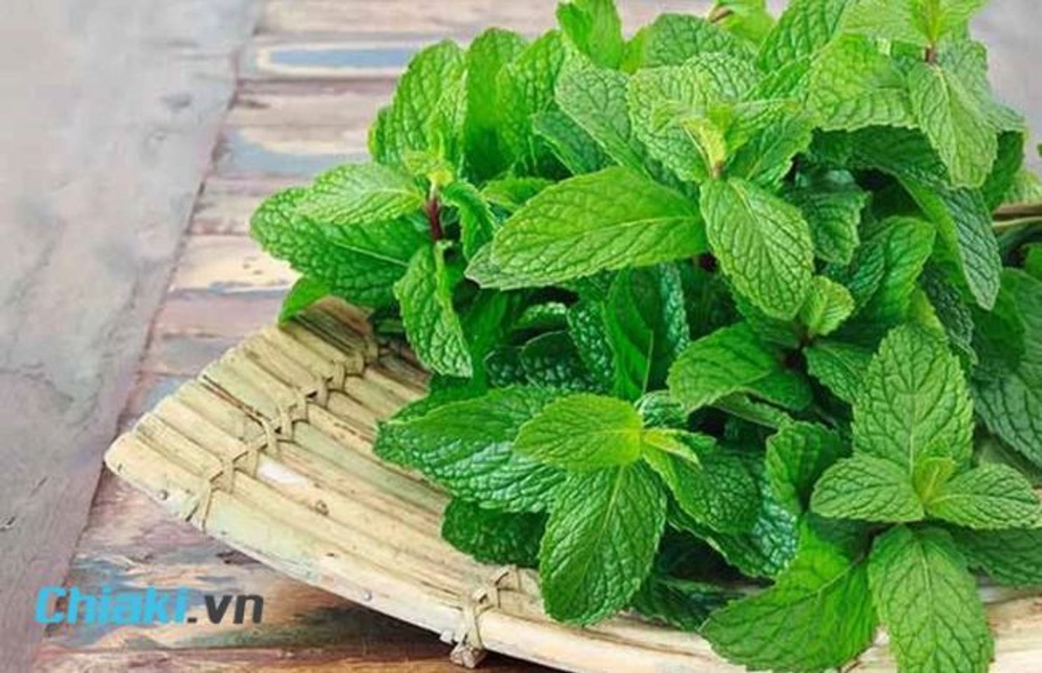 C&aacute;ch triệt l&ocirc;ng n&aacute;ch tại nh&agrave; bằng l&aacute; bạc h&agrave;