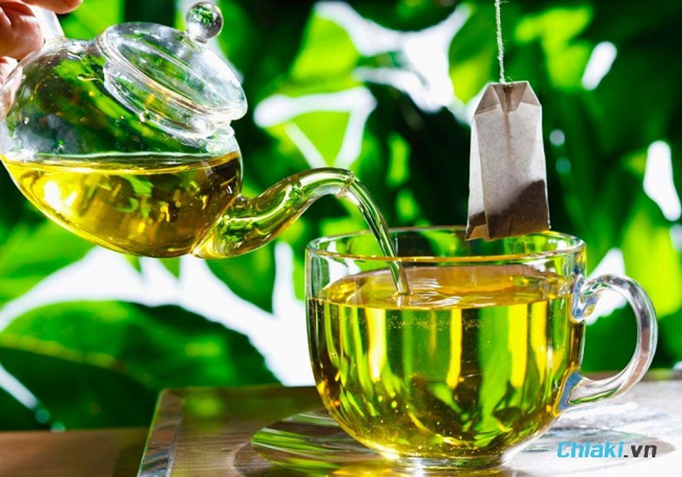 Dưỡng d&agrave;i mi với tr&agrave; xanh