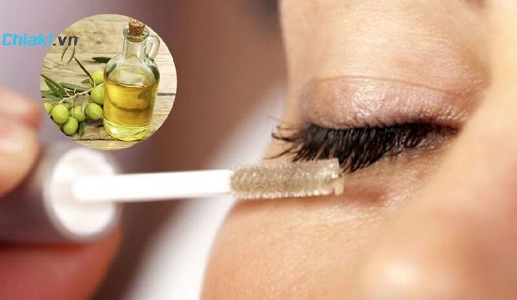 Dưỡng mi d&agrave;i bằng dầu Oliu