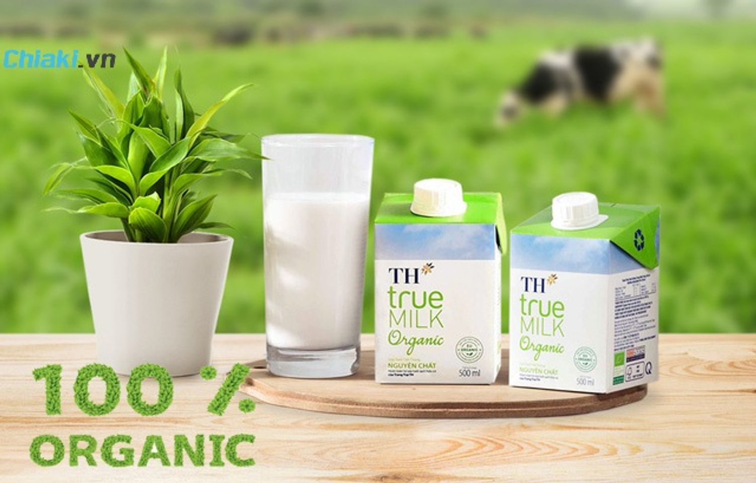 Sữa organic