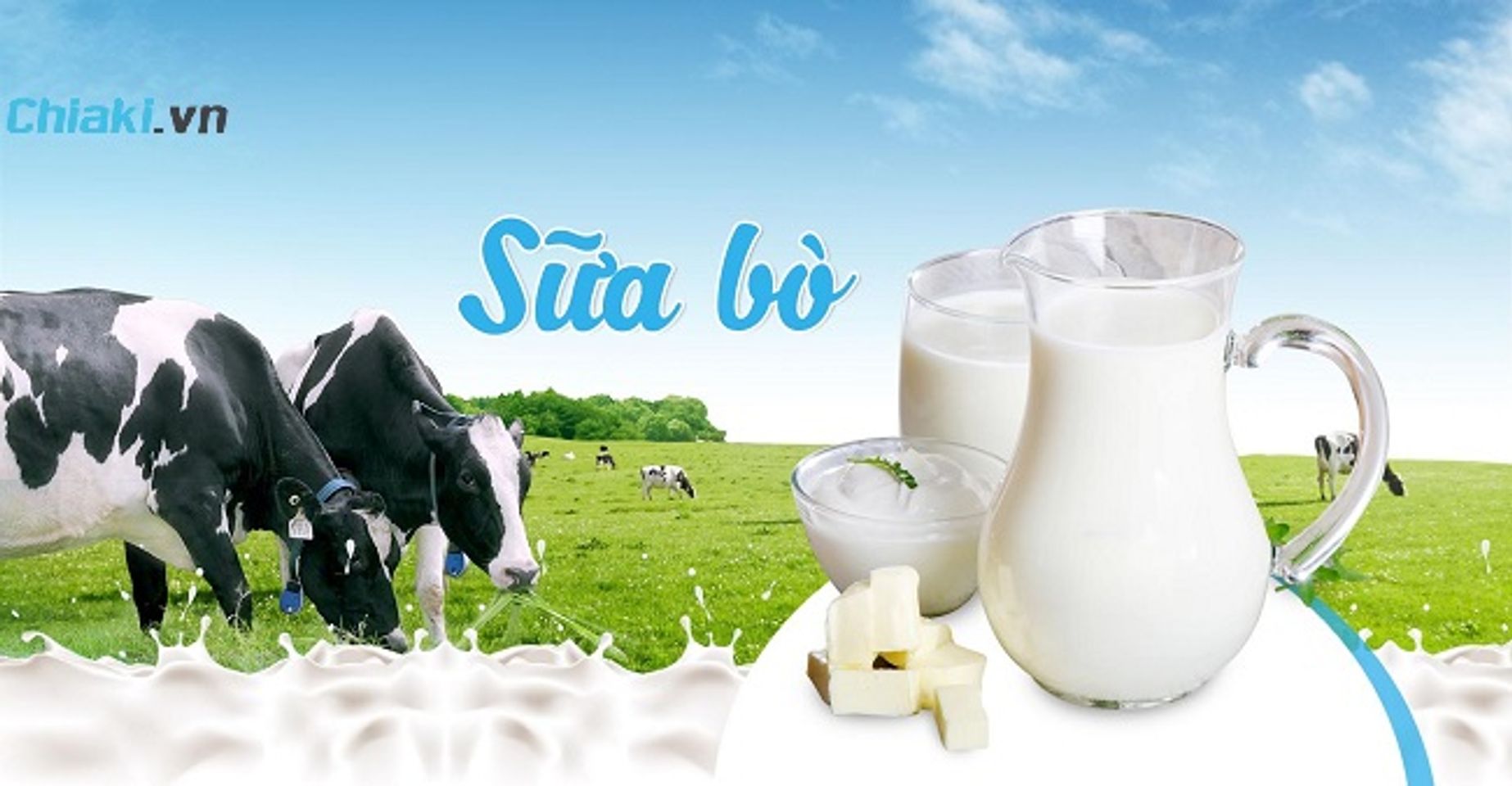 Sữa b&ograve;