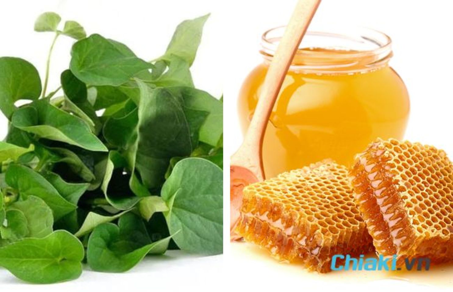 C&aacute;ch l&agrave;m mặt nạ diếp c&aacute; mật ong