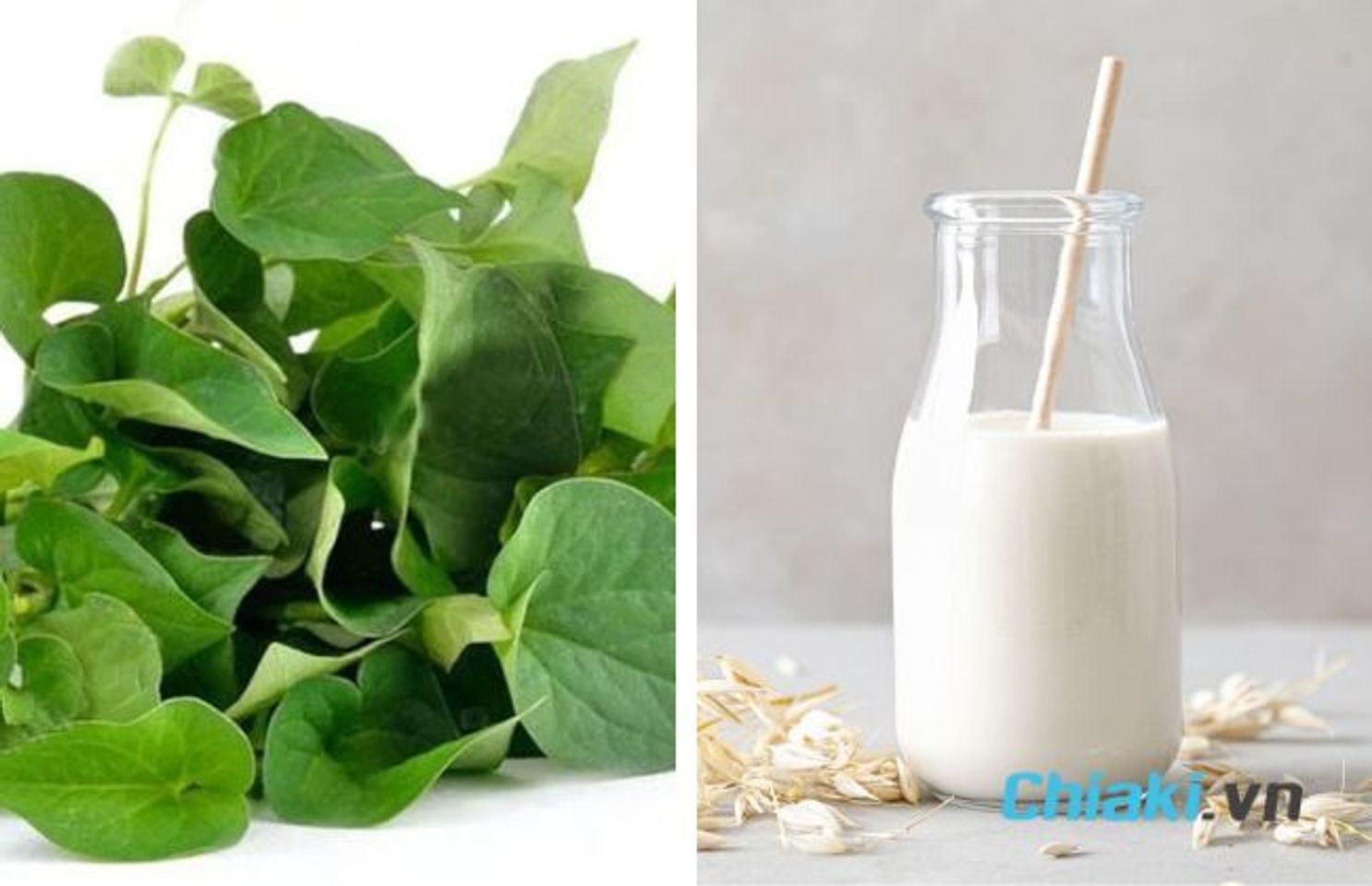 C&aacute;ch l&agrave;m mặt nạ diếp c&aacute; sữa tươi