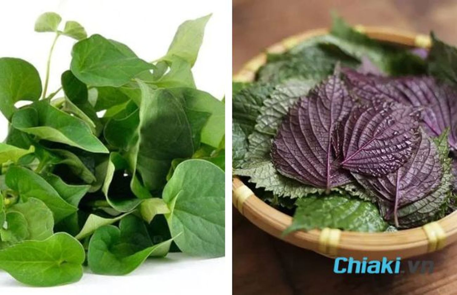 C&aacute;ch l&agrave;m mặt nạ diếp c&aacute; t&iacute;a t&ocirc;