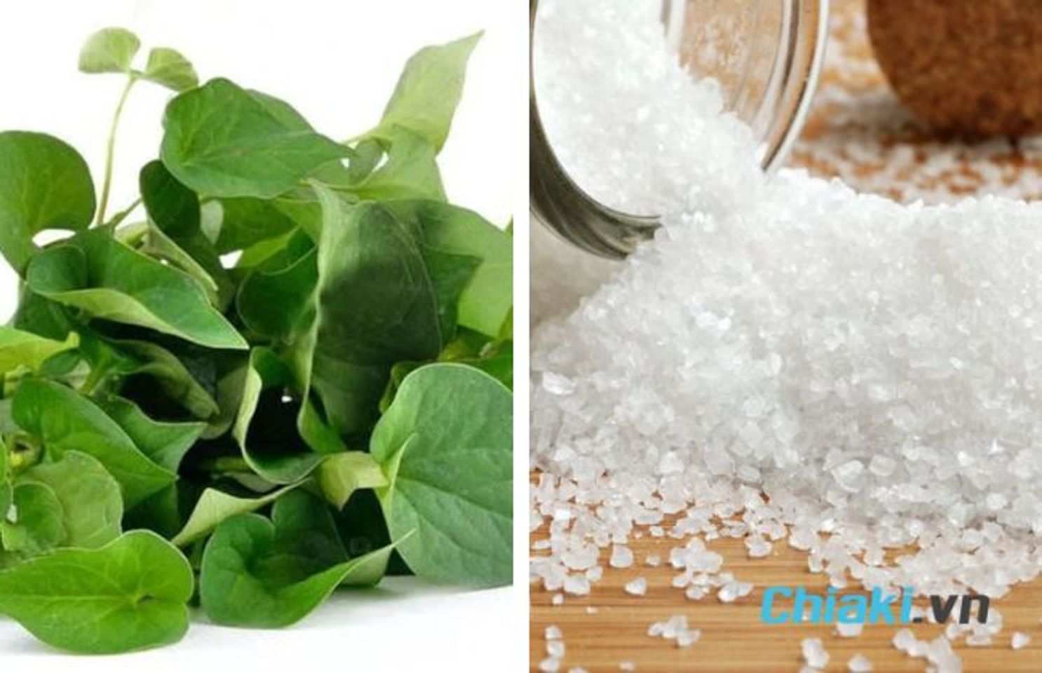 C&aacute;ch l&agrave;m mặt nạ rau diếp c&aacute; muối biển