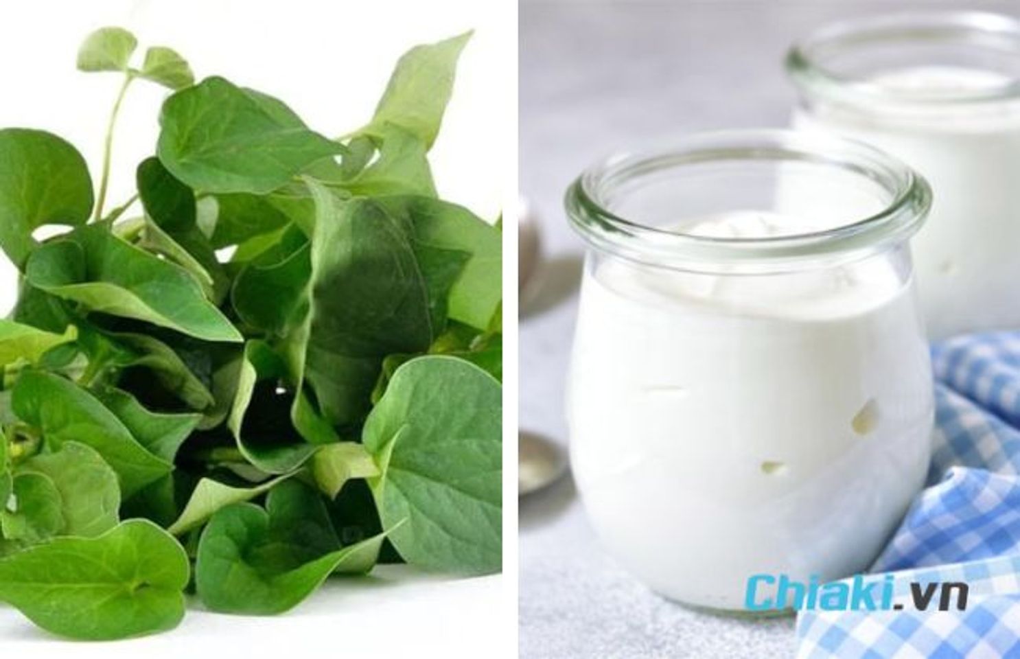 C&aacute;ch l&agrave;m mặt nạ rau diếp c&aacute; sữa chua