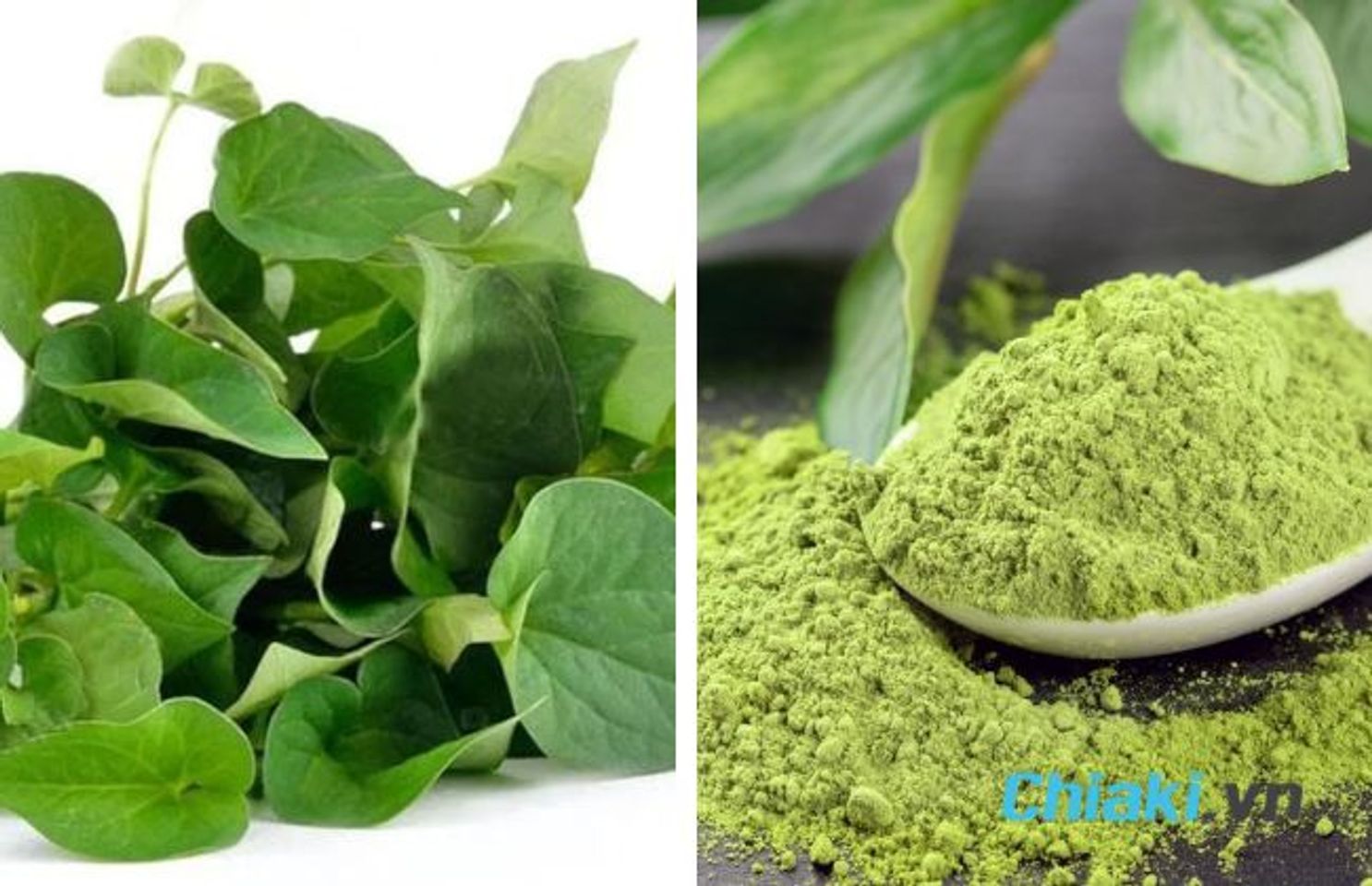 C&aacute;ch l&agrave;m mặt nạ rau diếp c&aacute; tr&agrave; xanh