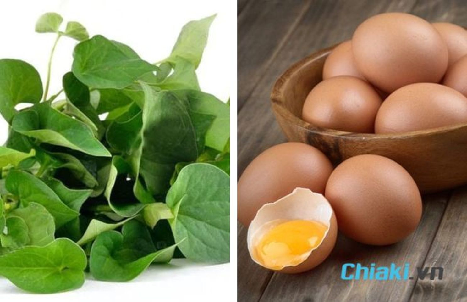 C&aacute;ch l&agrave;m mặt nạ rau diếp c&aacute; trứng g&agrave;