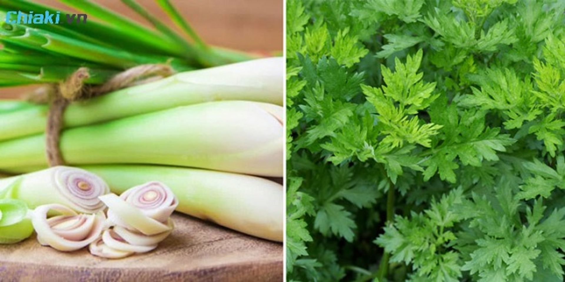 Sử dụng sả v&agrave; ngải cứu gi&uacute;p diệt khuẩn, giảm vi&ecirc;m