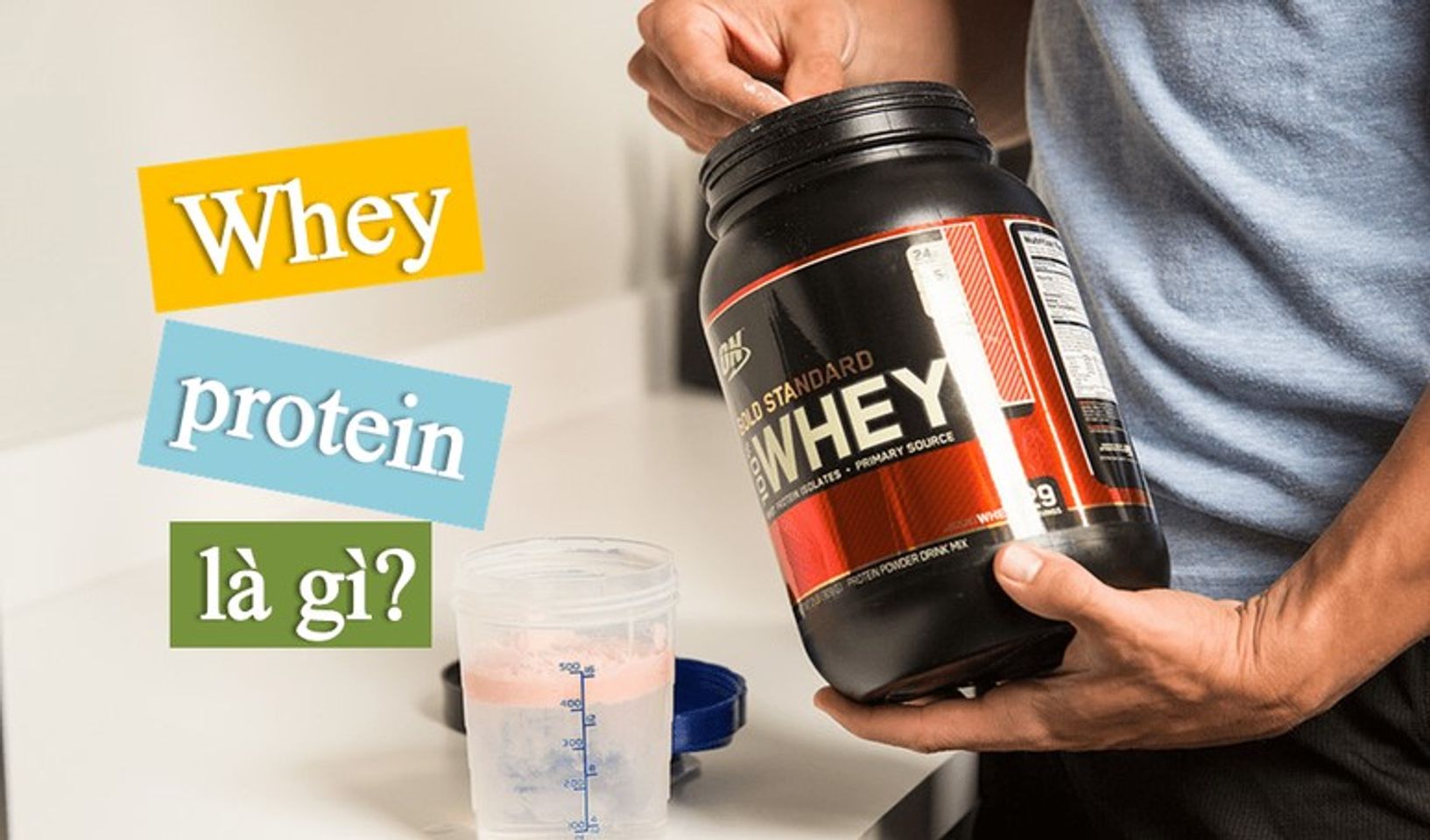 Whey Protein l&agrave; g&igrave;?
