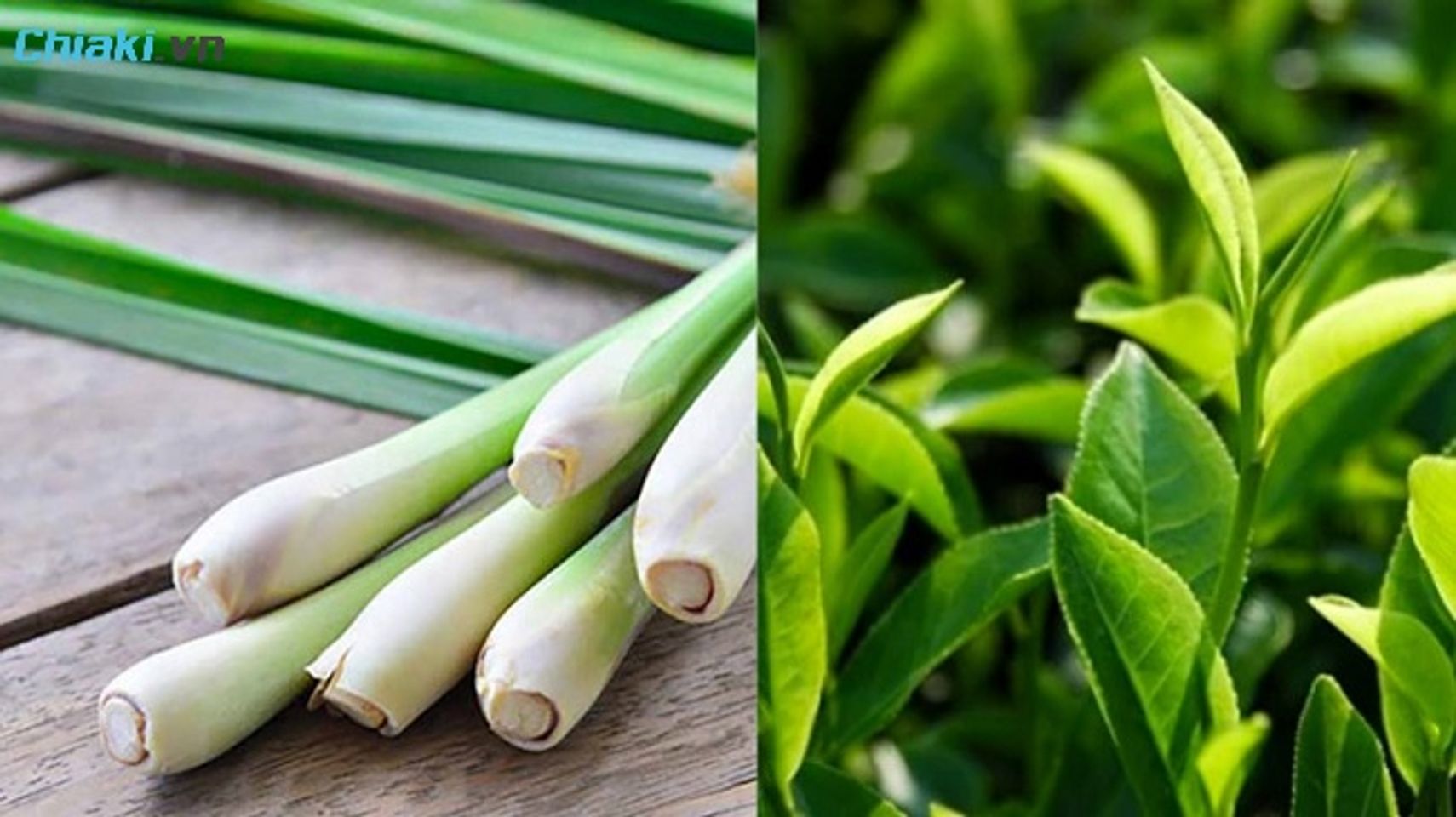 X&ocirc;ng mặt bằng sả v&agrave; tr&agrave; xanh&nbsp;gi&uacute;p da s&aacute;ng mịn, khỏe mạnh