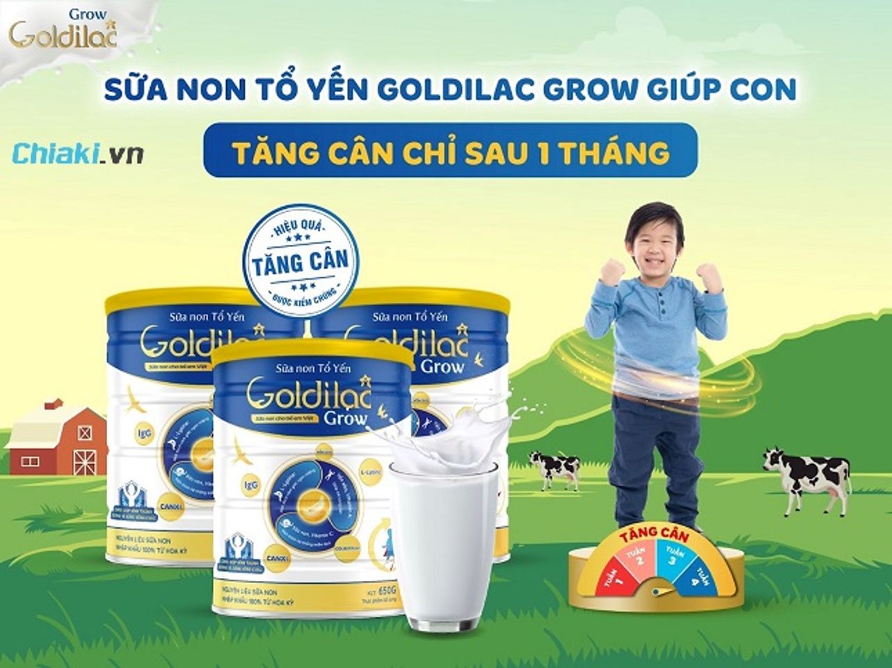 Goldilac Grow
