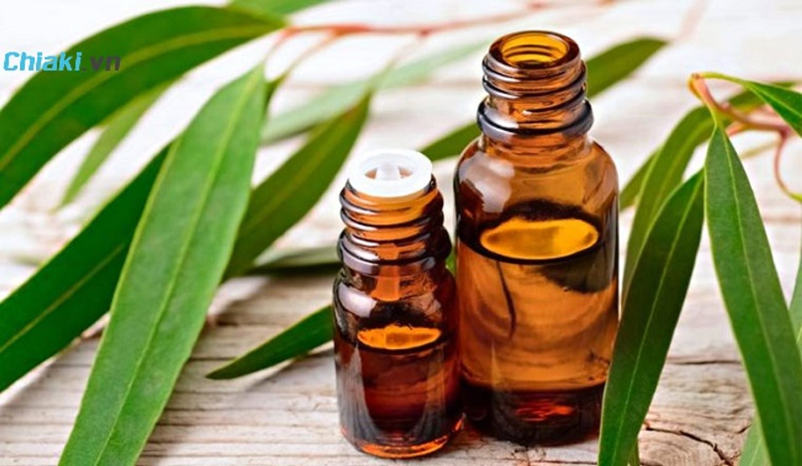 ưu điểm của dầu khuynh diệp cho b&agrave; bầu
