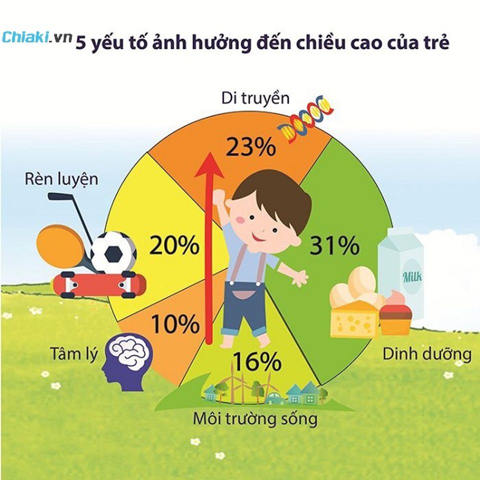 C&aacute;c yếu tố ảnh hưởng đến chiều cao của trẻ