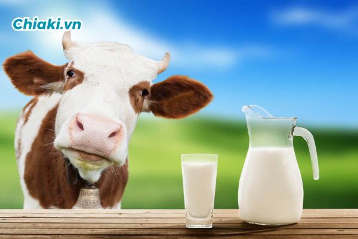 Sữa A2 c&oacute; những loại n&agrave;o?