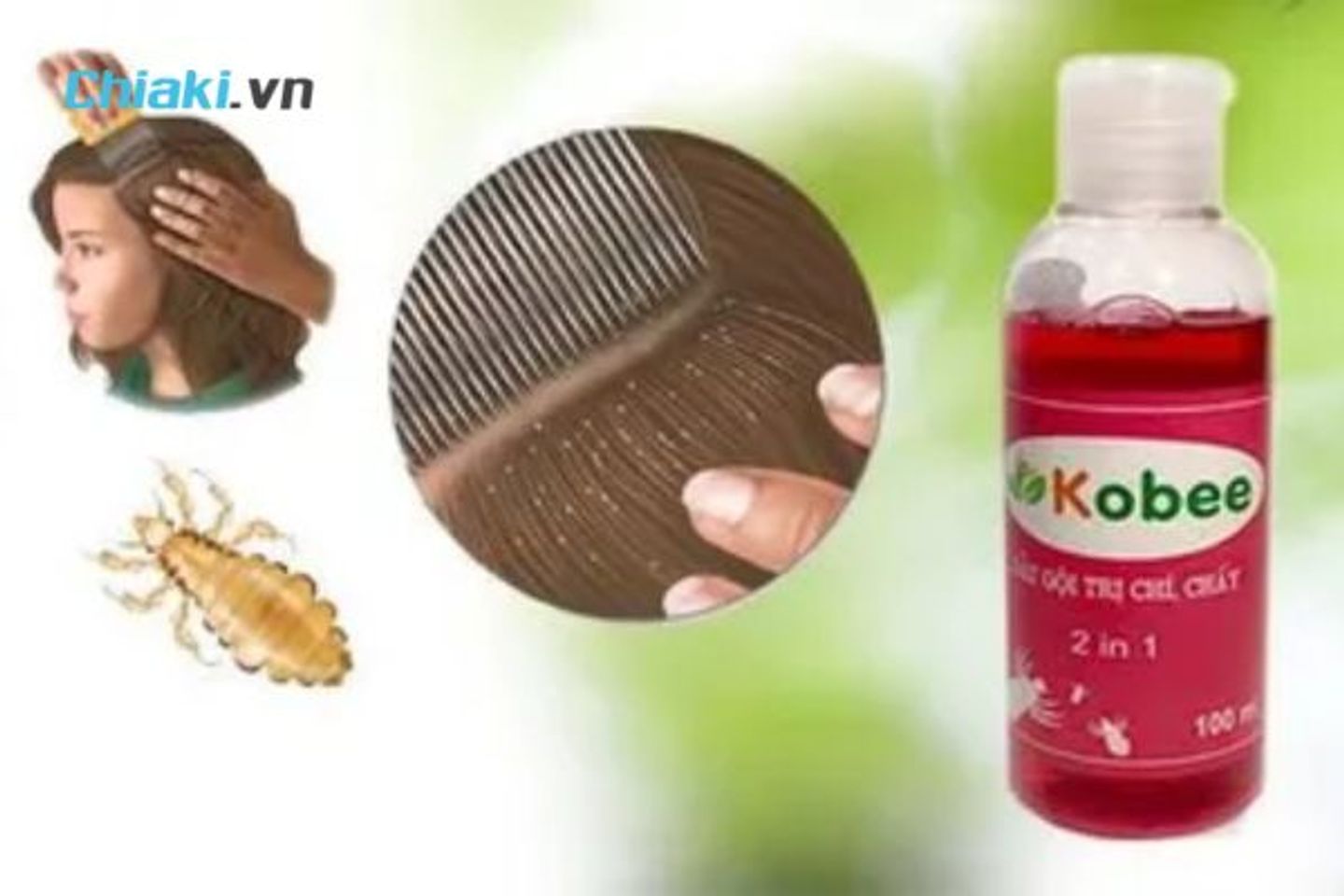Dầu gội trị chấy Kobee