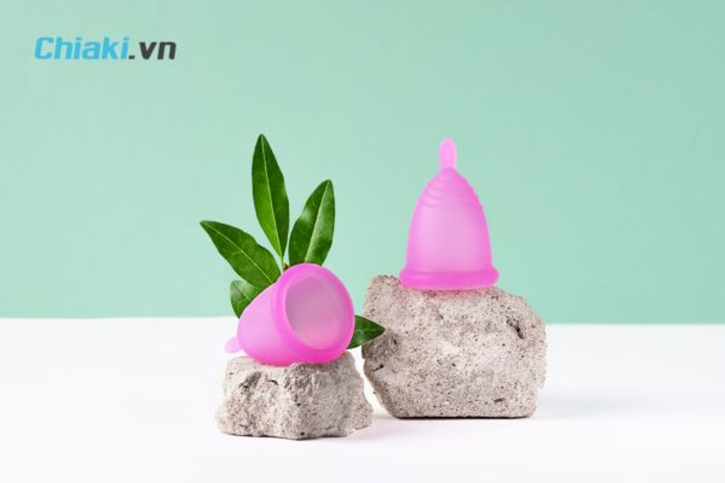 Cốc nguyệt san l&agrave; g&igrave;?