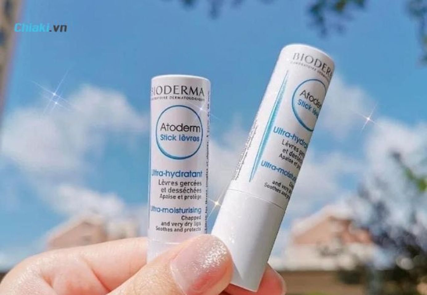 Bioderma Atoderm Levres Stick Hydratant