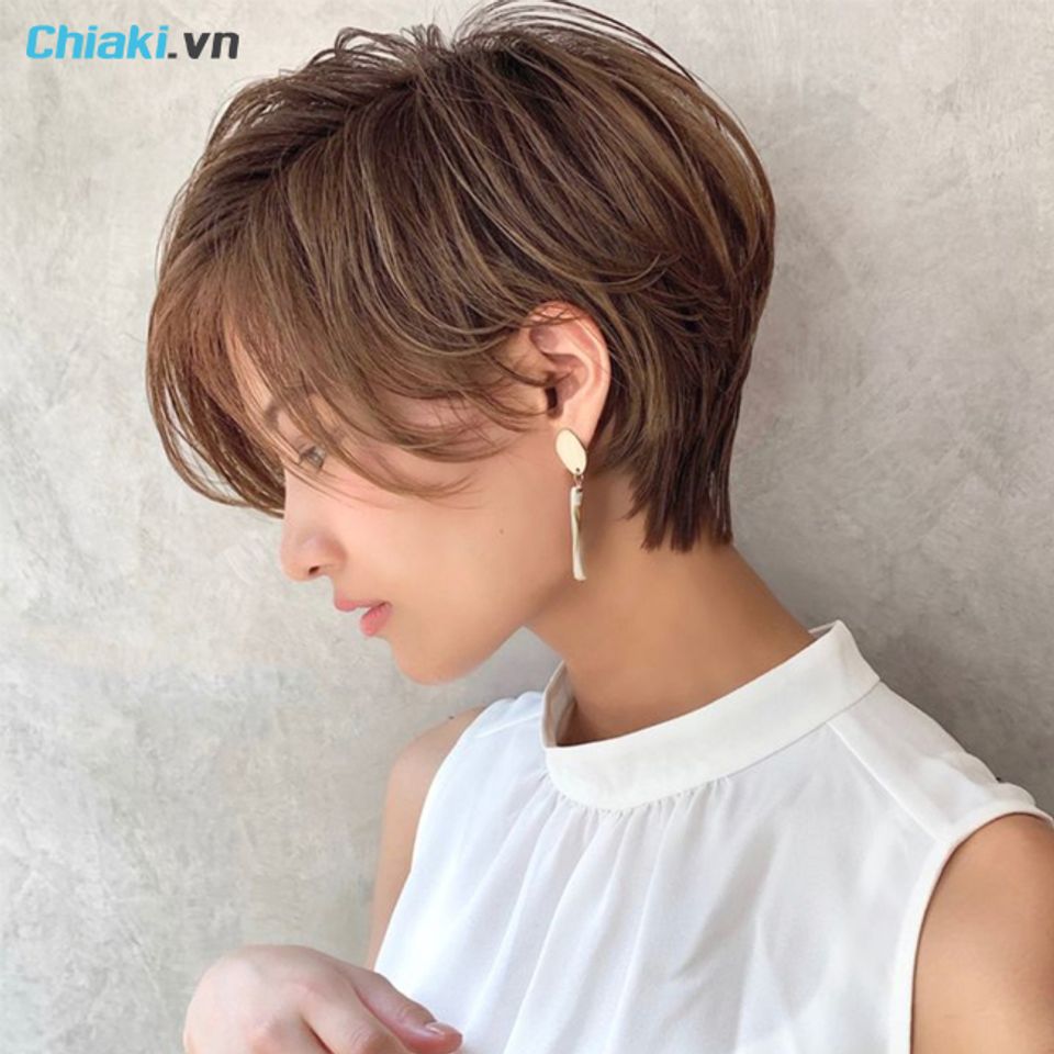 t&oacute;c pixie bob