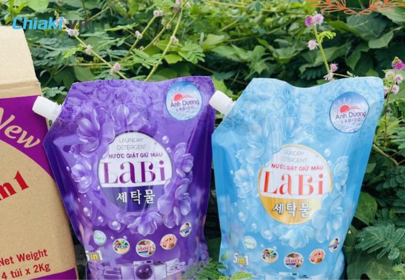 &Aacute;nh Dương Labido