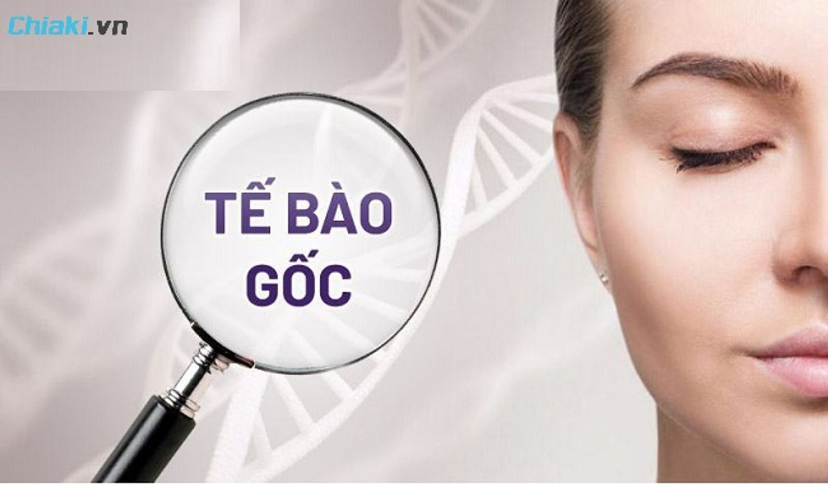 Tế b&agrave;o gốc hỗ trợ t&aacute;i tạo v&agrave; phục hồi da