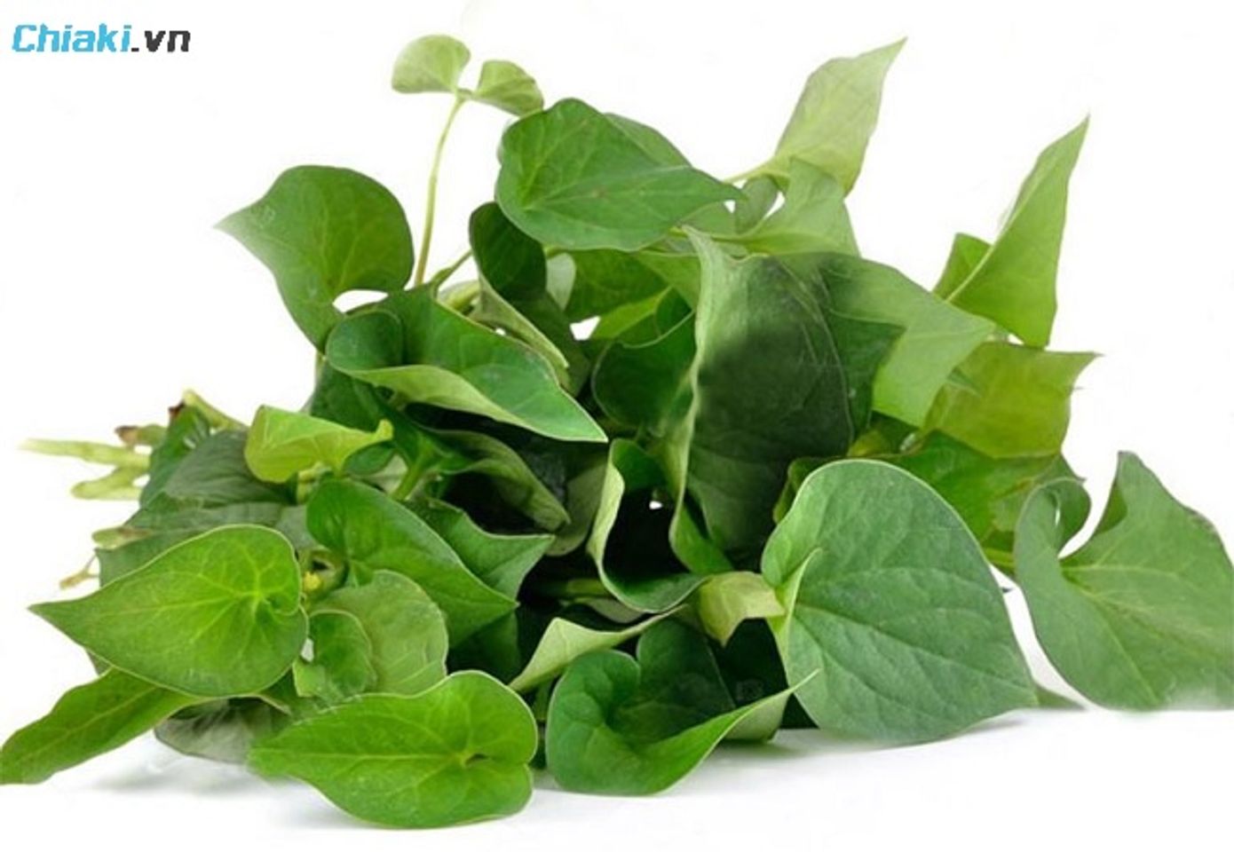 C&aacute;ch chữa vi&ecirc;m &acirc;m đạo tại nh&agrave; bằng rau diếp c&aacute;