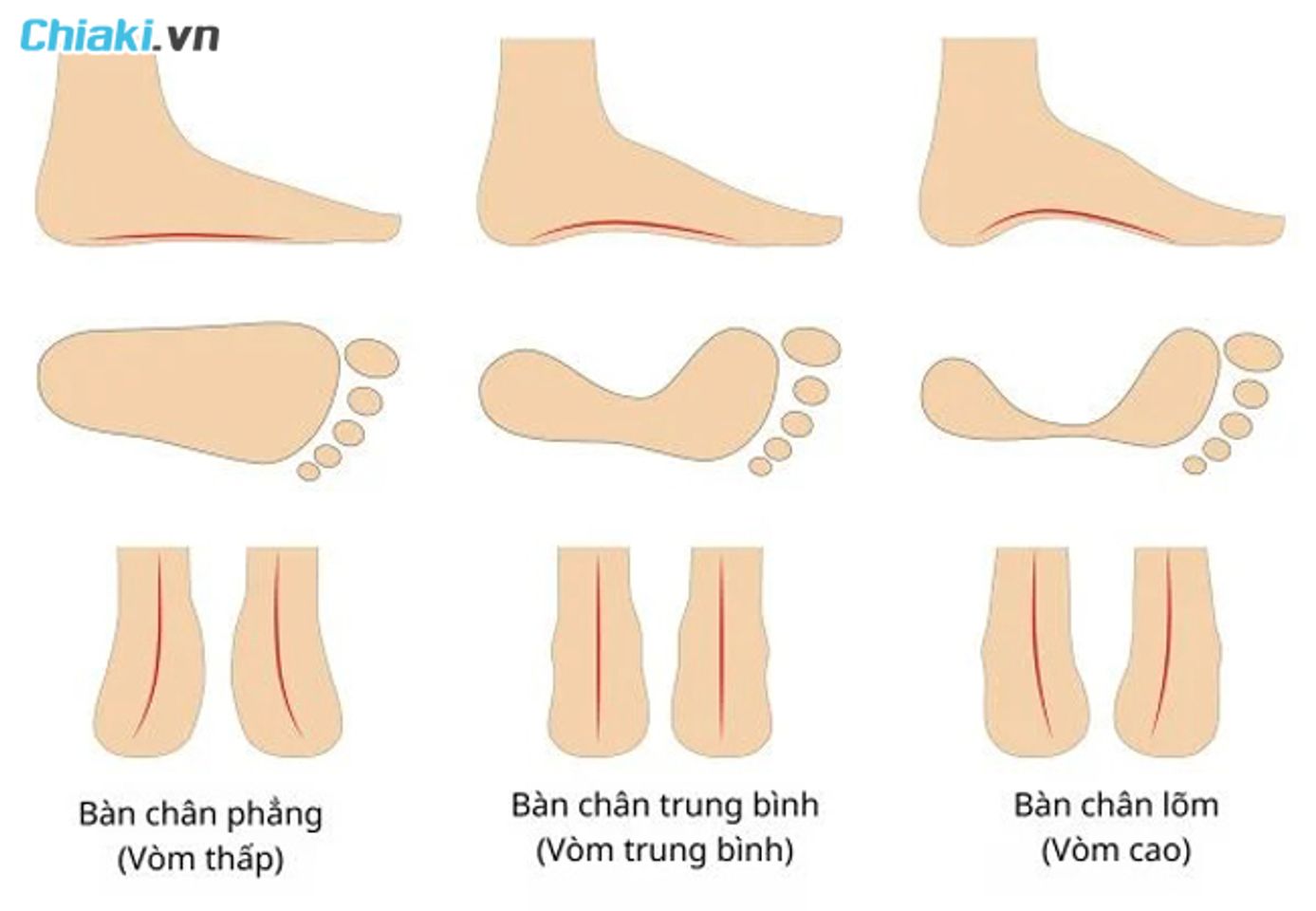chọn gi&agrave;y chạy bộ cho người mới bắt đầu dựa v&agrave;o kiểu d&aacute;ng ch&acirc;n