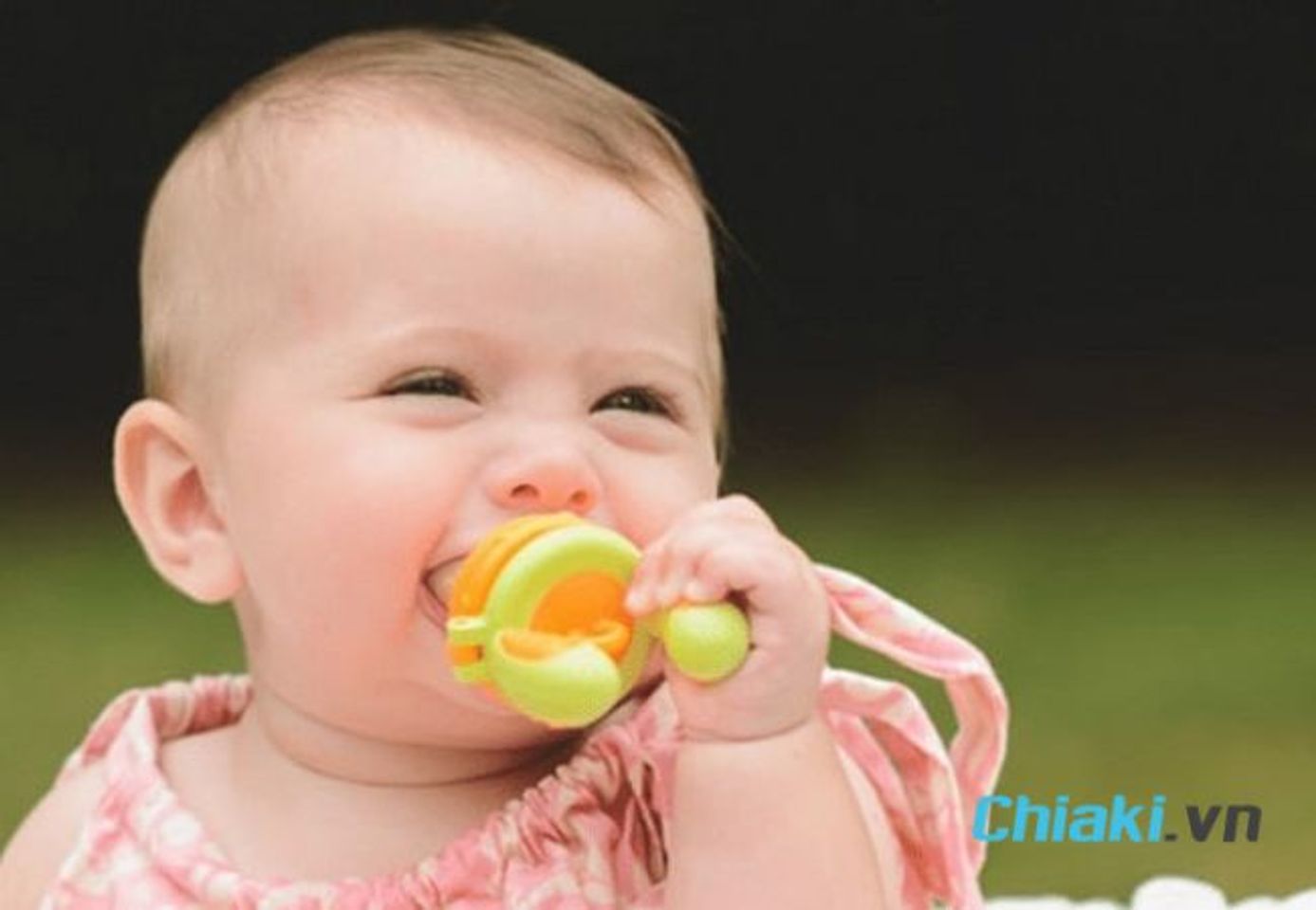 Lợi &iacute;ch khi d&ugrave;ng t&uacute;i nhai ăn dặm cho b&eacute;