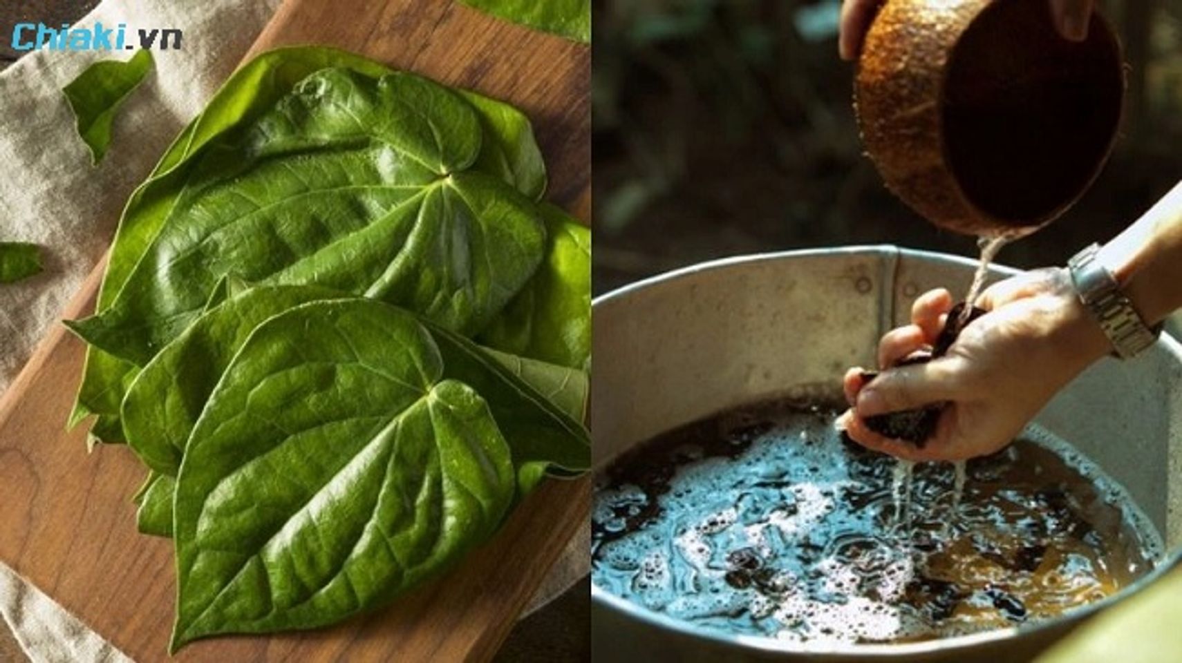 Chữa trị v&agrave; ph&ograve;ng ngừa vi&ecirc;m &acirc;m đạo bằng l&aacute; trầu kh&ocirc;ng l&agrave;nh t&iacute;nh, l&agrave;nh t&iacute;nh