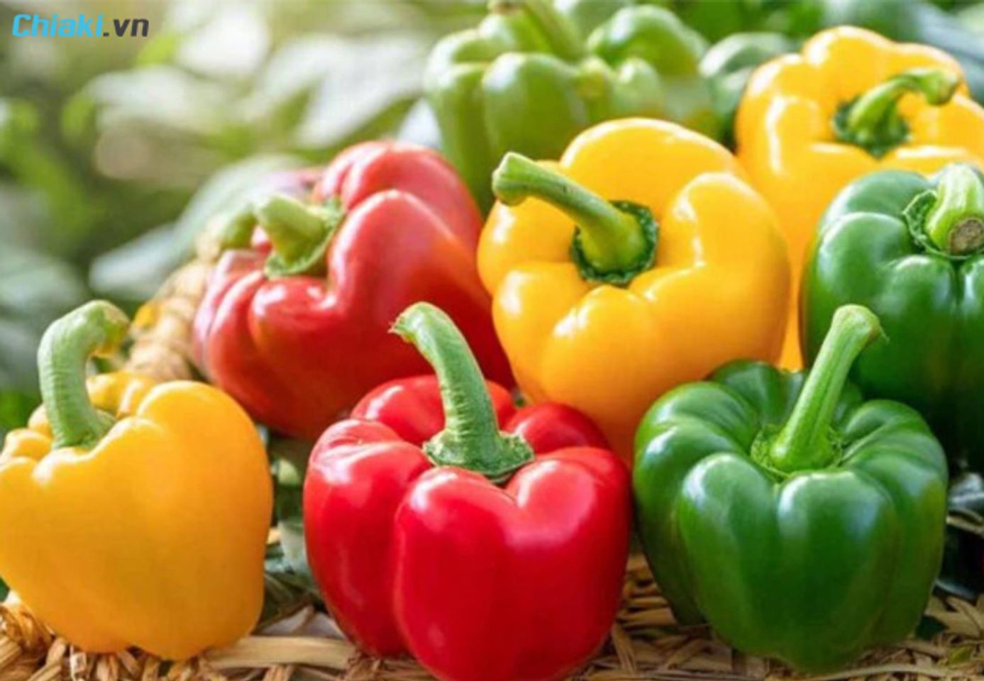 rau cho b&eacute; ăn dặm phải kể đến ớt chu&ocirc;ng