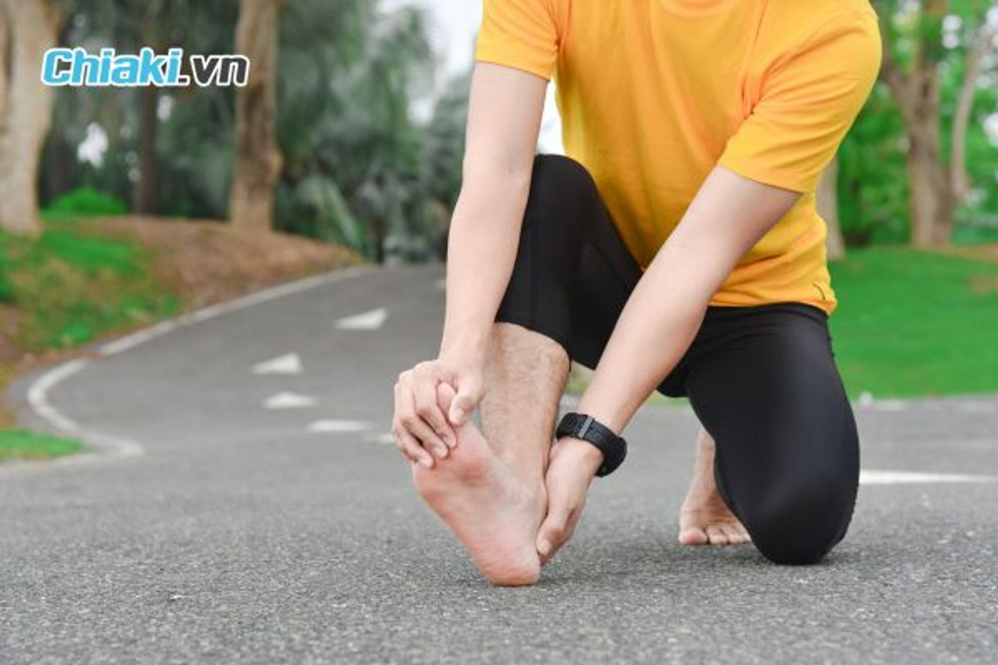 Đặc điểm sải ch&acirc;n