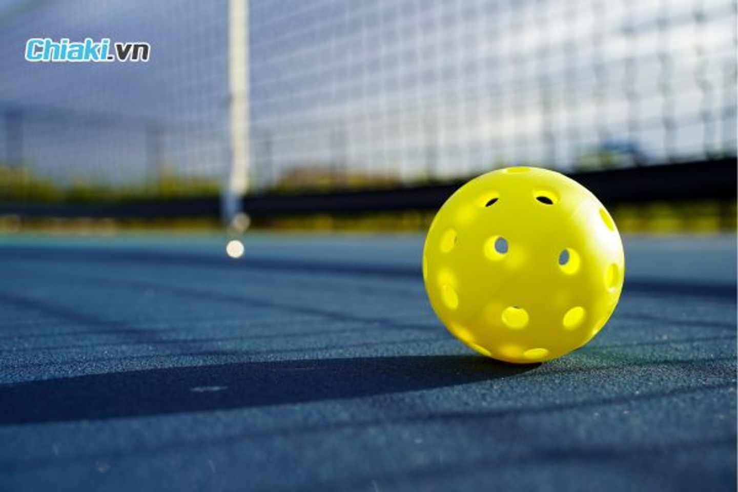 B&oacute;ng Pickleball