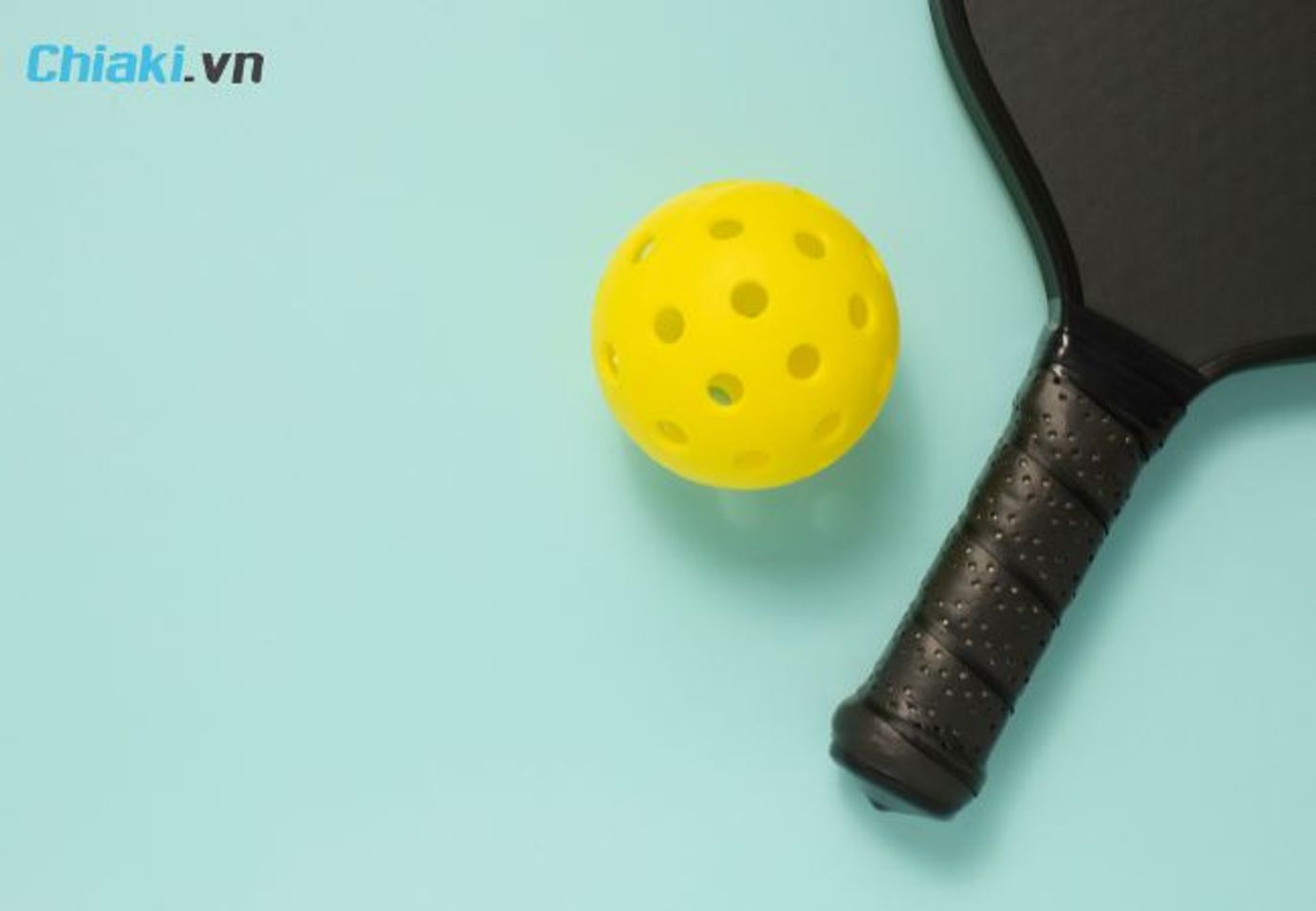 B&oacute;ng pickleball