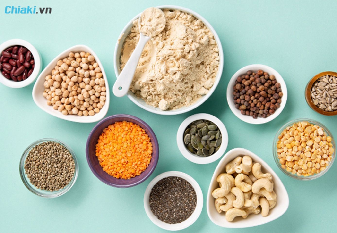 Bột protein thực vật gồm những g&igrave;?