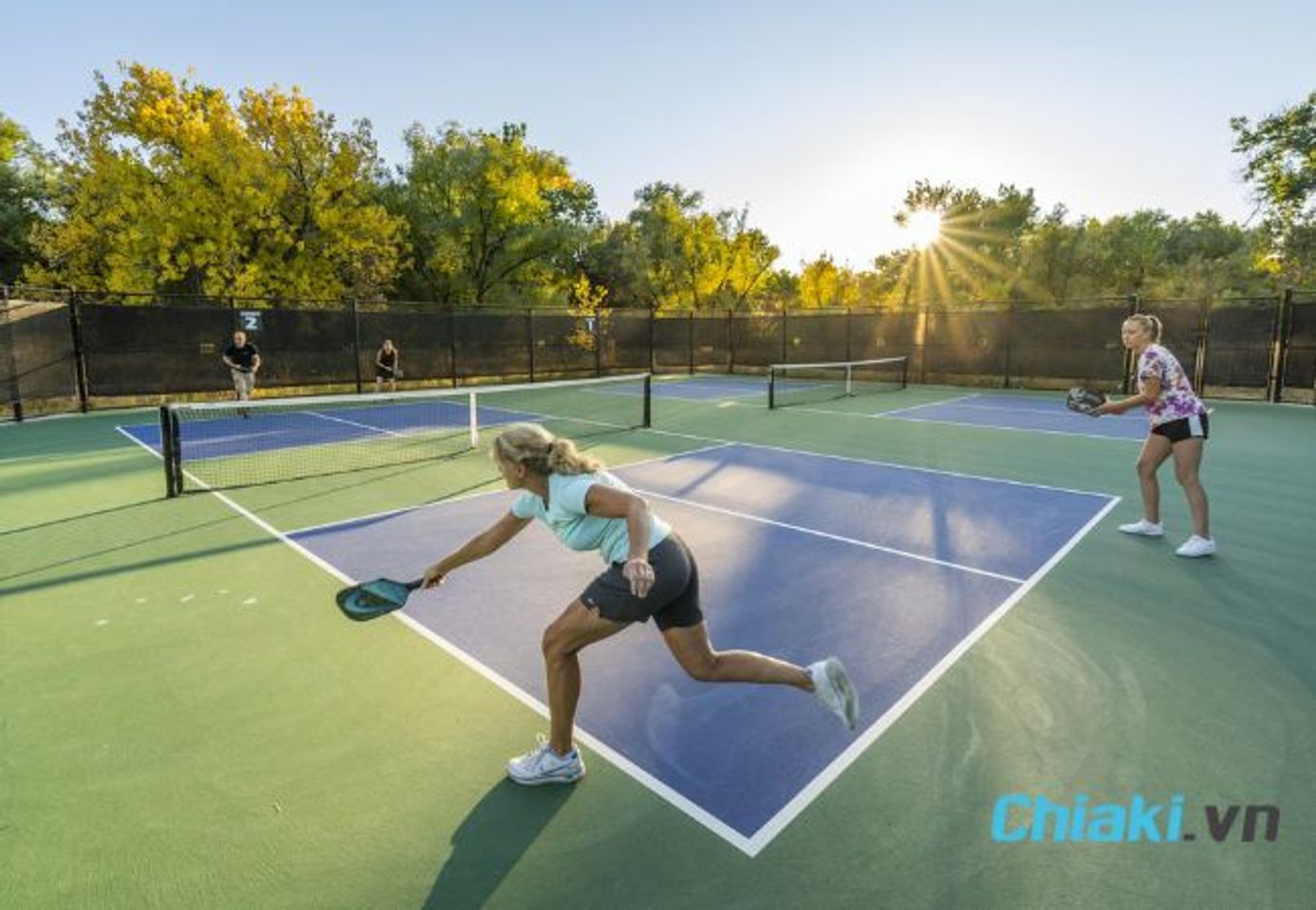 C&aacute;c y&ecirc;u cầu thiết kế s&acirc;n Pickleball