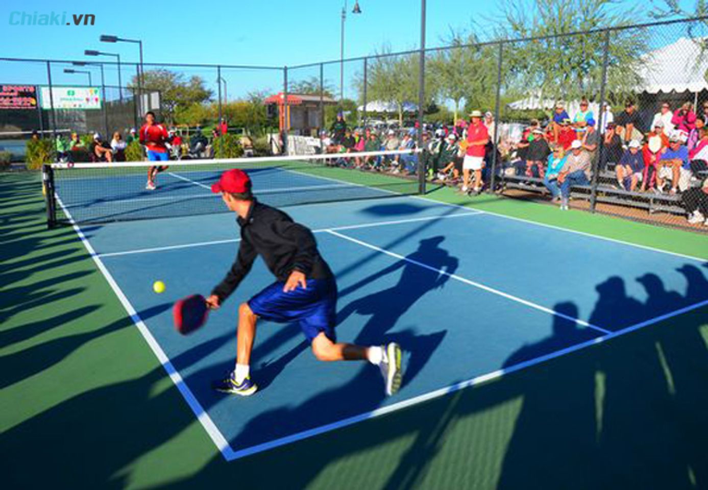 C&aacute;c thuật ngữ trong pickleball về chiến thuật