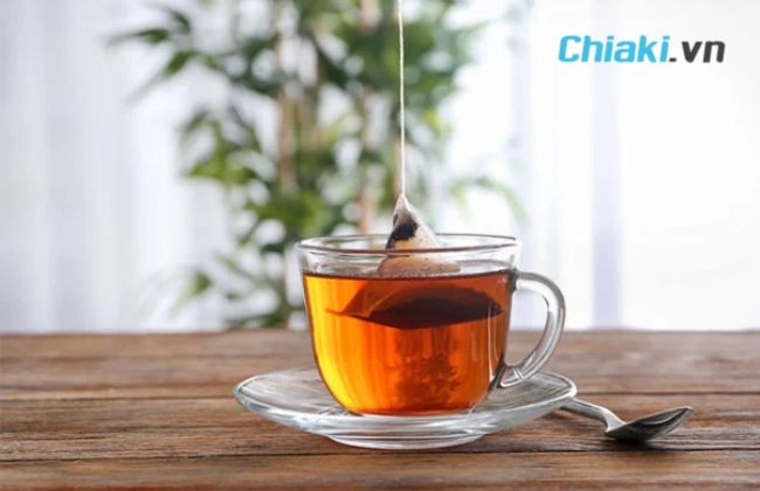 Ti&ecirc;u ch&iacute; lựa chọn tr&agrave; giảm c&acirc;n Nhật Bản