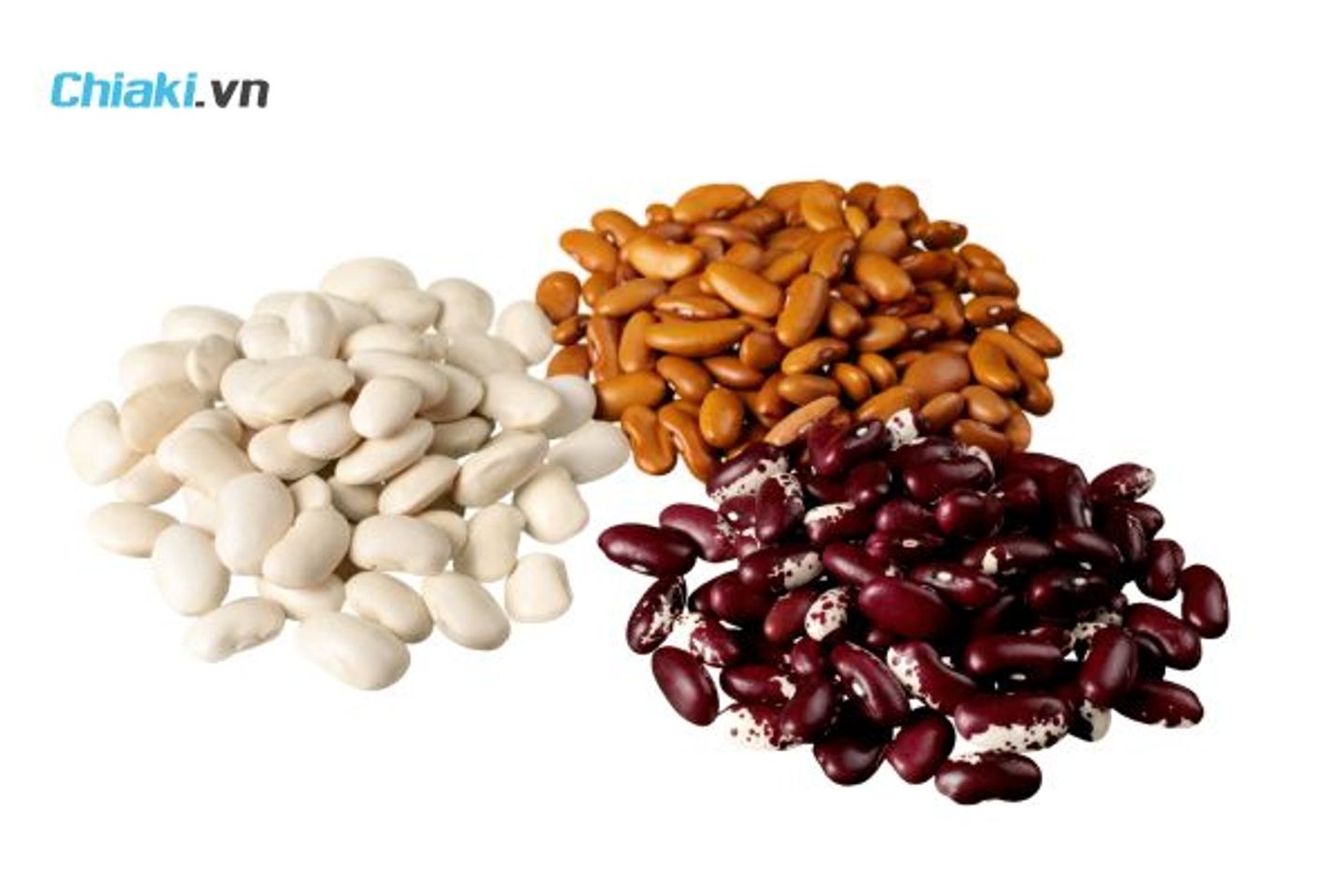 C&aacute;c loại đậu đậu lăng đậu đỏ đậu n&agrave;nh gi&agrave;u sắt thực vật v&agrave; protein tự nhi&ecirc;n