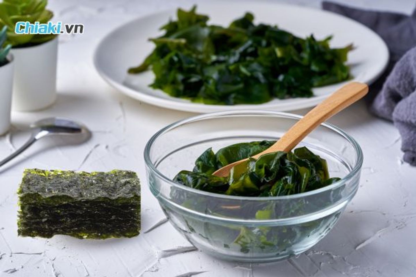 Tảo biển spirulina thực phẩm bổ sung sắt v&agrave; protein thực vật