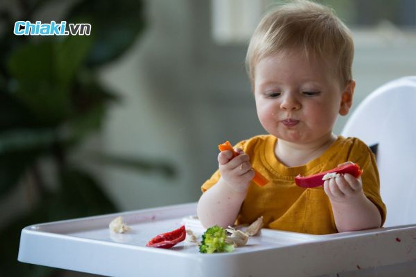 Vai tr&ograve; của sắt đối với trẻ nhỏ