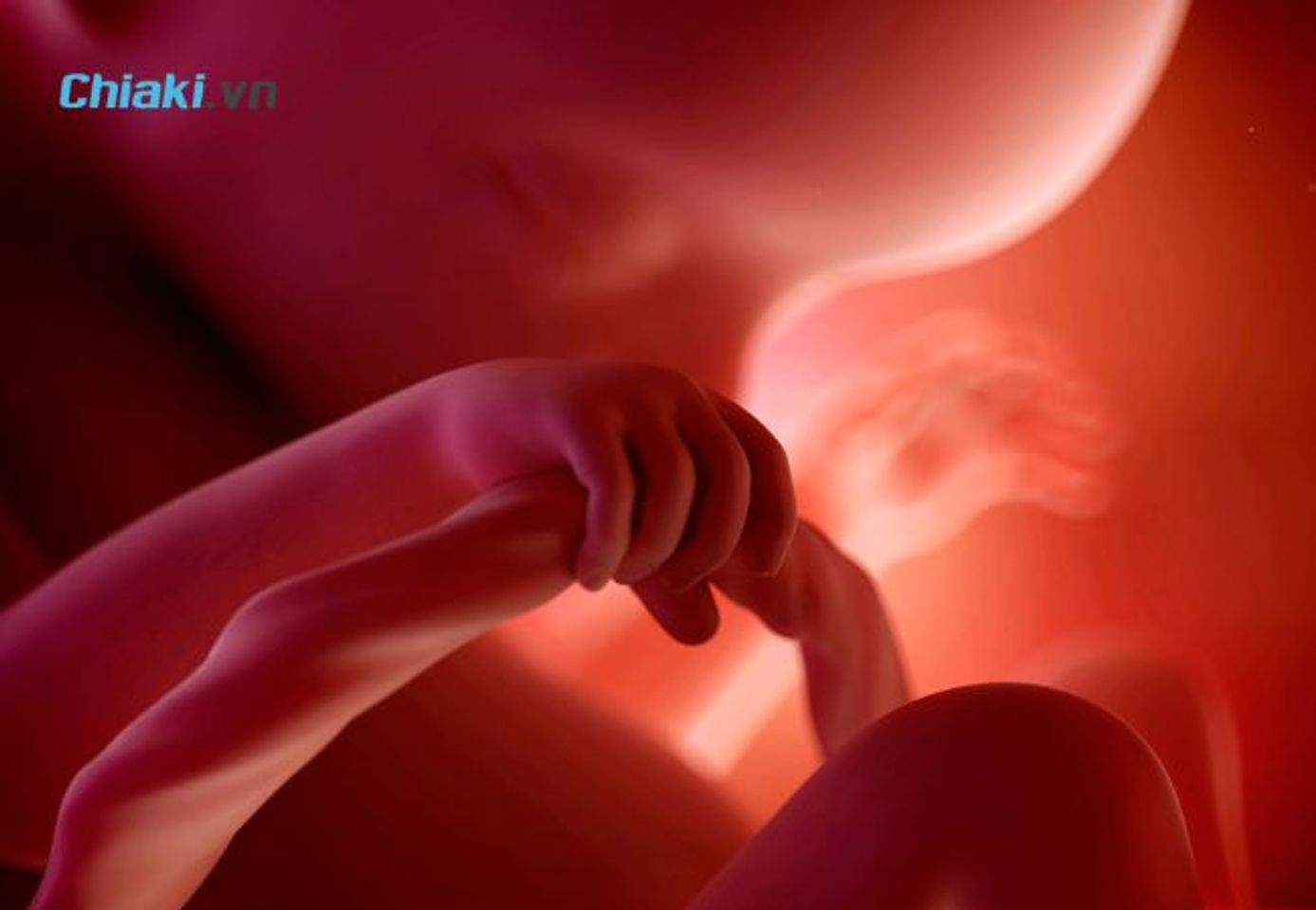 Thiếu sắt c&oacute; thể ảnh hưởng đến ph&aacute;t triển thai nhi