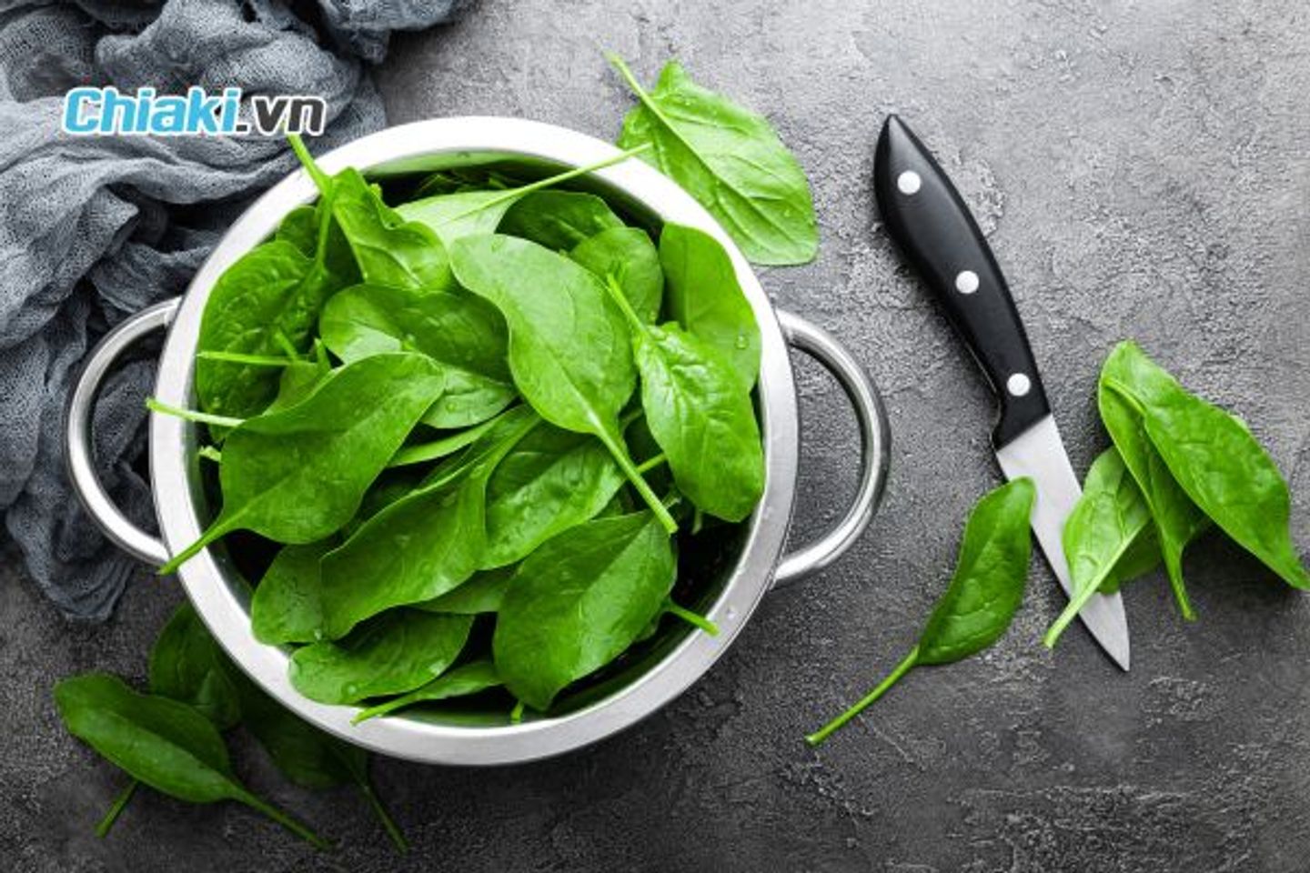 Cải b&oacute; x&ocirc;i c&oacute; gi&aacute; trị dinh dưỡng cao, gi&agrave;u vitamin B6, folate, magie v&agrave; sắt