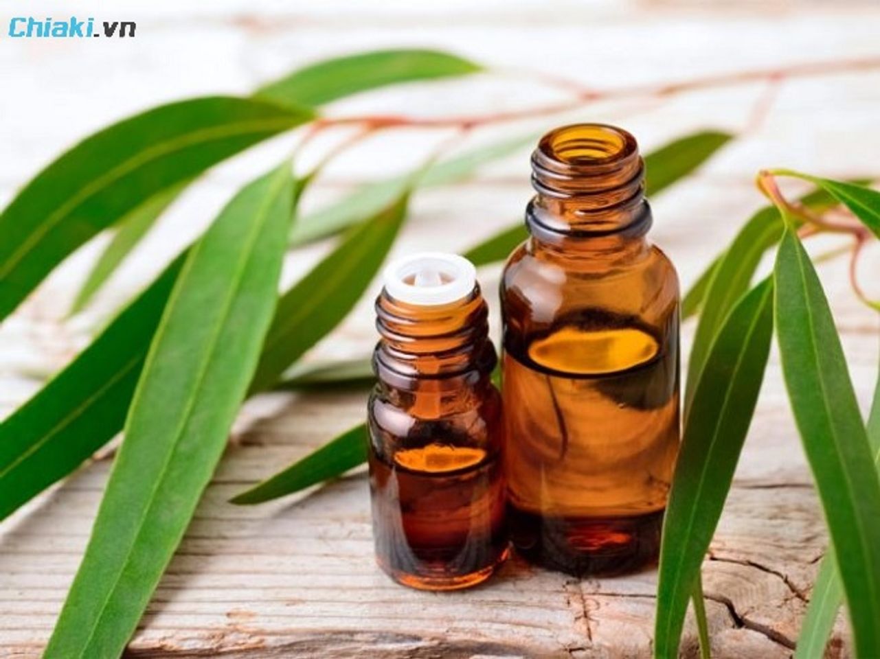 Dầu khuynh diệp cho b&agrave; bầu - l&agrave;nh t&iacute;nh, dễ chịu