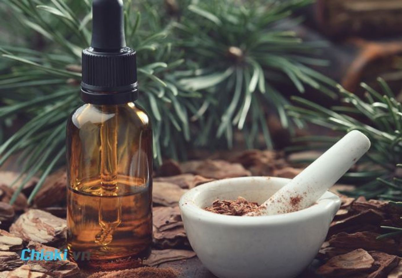 Tinh dầu th&ocirc;ng đỏ hỗ trợ thanh lọc, giải độc cơ thể