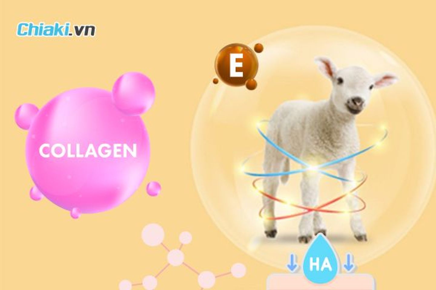 Nhau thai cừu v&agrave; collagen