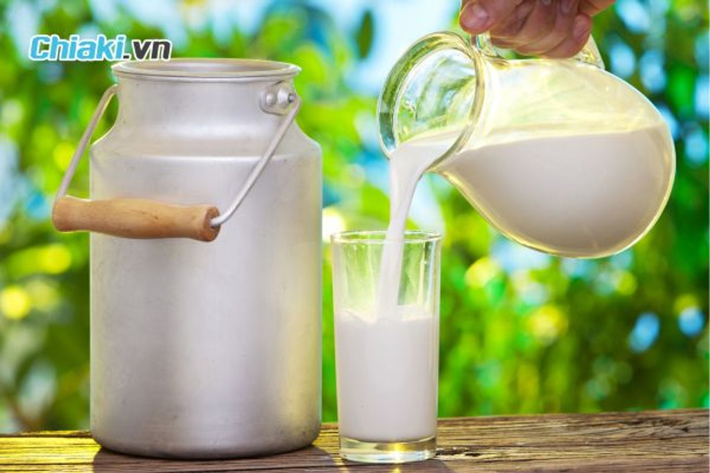 Sữa cung cấp lactose tự nhi&ecirc;n c&ugrave;ng protein v&agrave; canxi, gi&uacute;p duy tr&igrave; năng lượng v&agrave; xương chắc khỏe