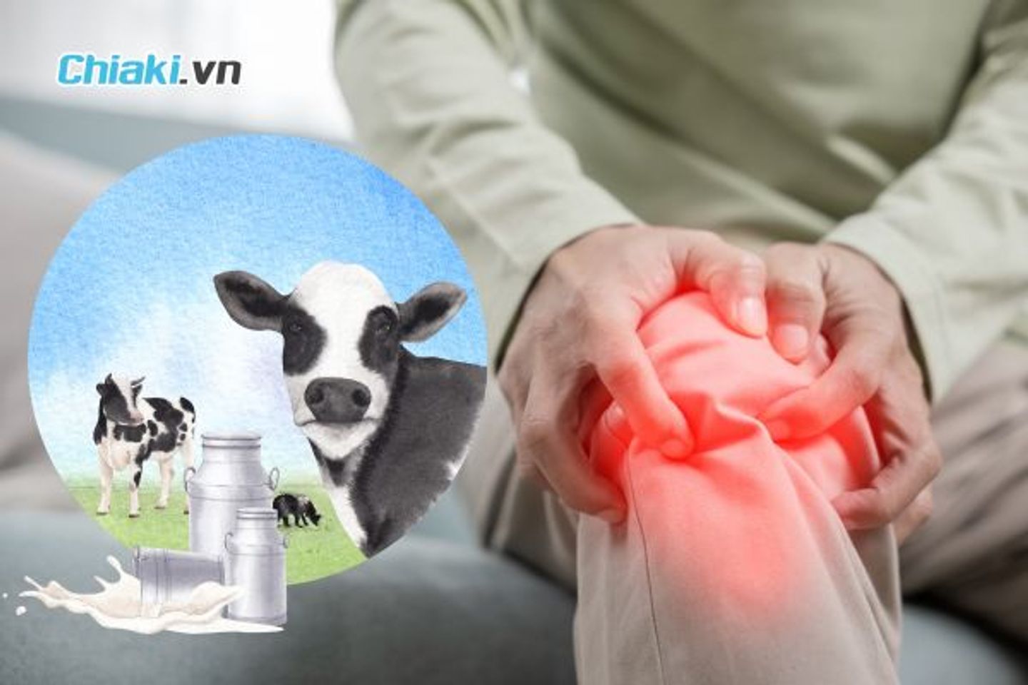 Tại sao sữa xương khớp của Mỹ được ưa chuộng?