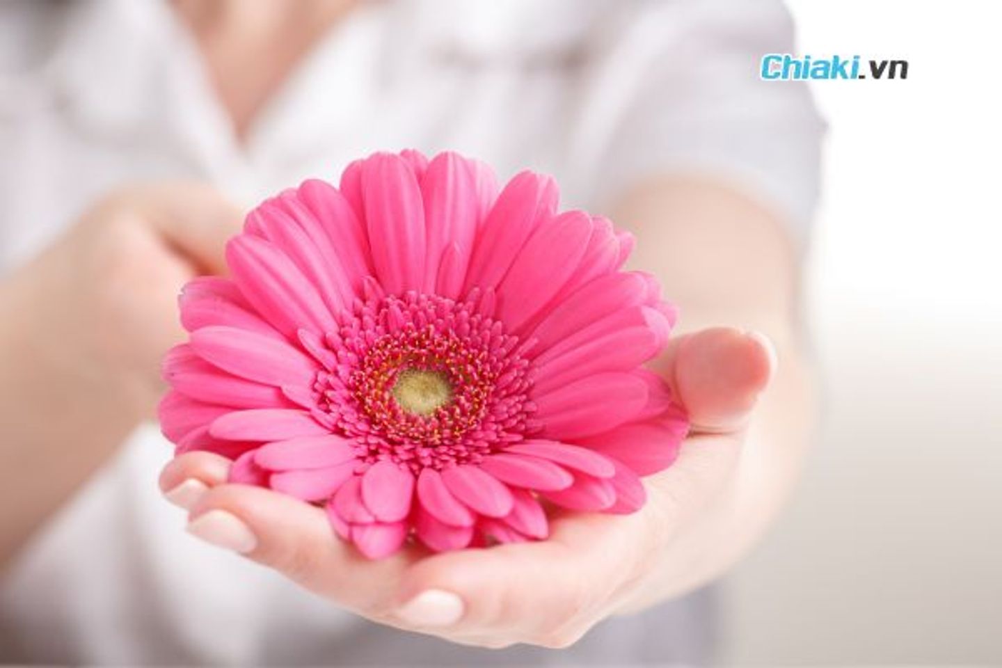 Tầm quan trọng của việc vệ sinh v&ugrave;ng k&iacute;n sau sinh