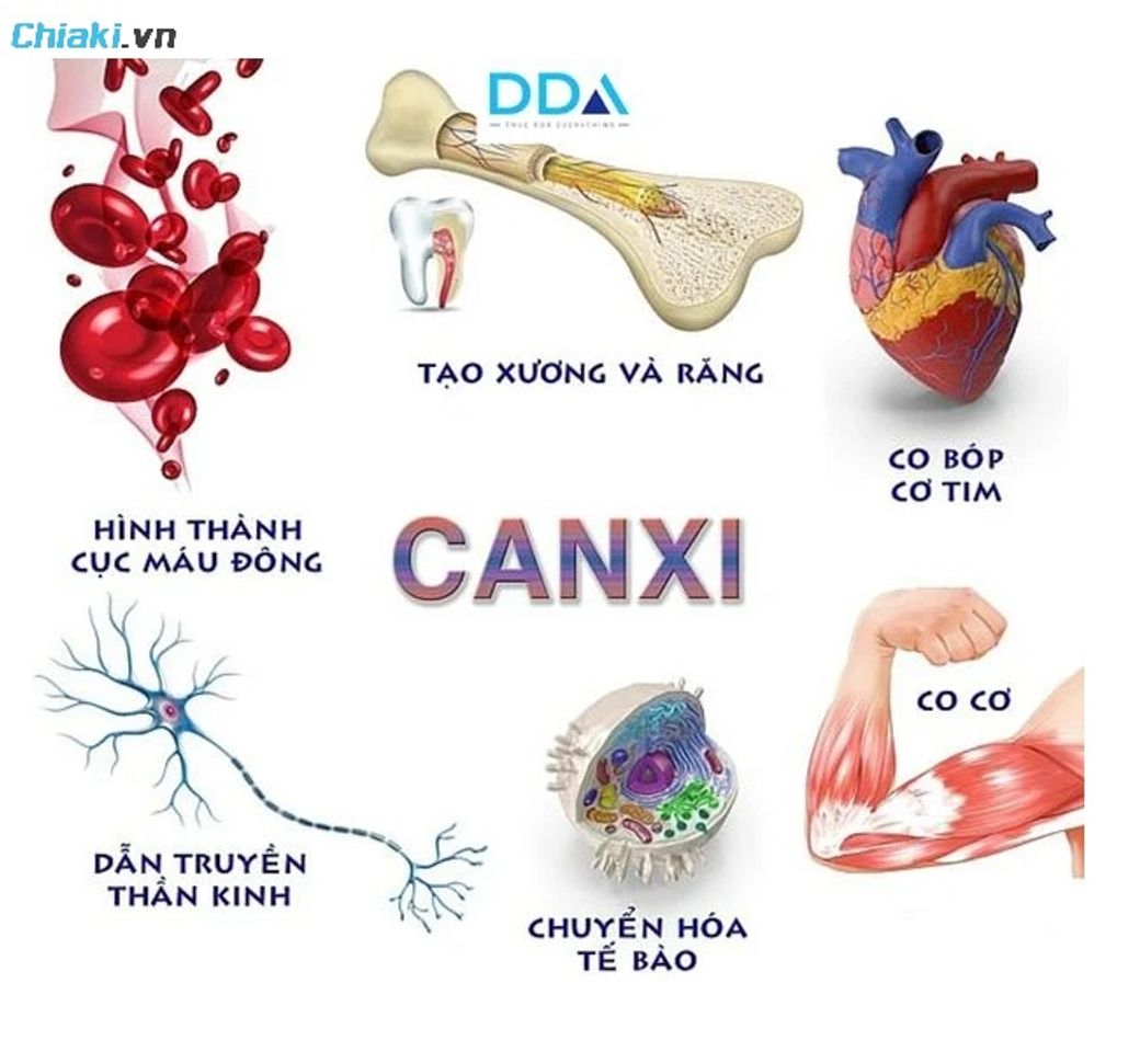 Canxi quan trọng đối với sự ph&aacute;t triển to&agrave;n diện của trẻ sơ sinh v&agrave; trẻ nhỏ